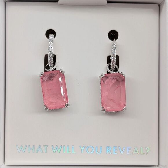 Bomb Party-Love is the Answer Earrings - Picture 2 of 5
